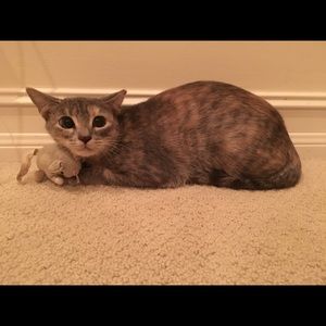 Meet your Posher, Fiona